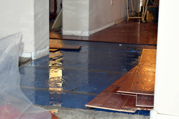 Professional Burst Pipe Cleanup technician working in Westville, NJ